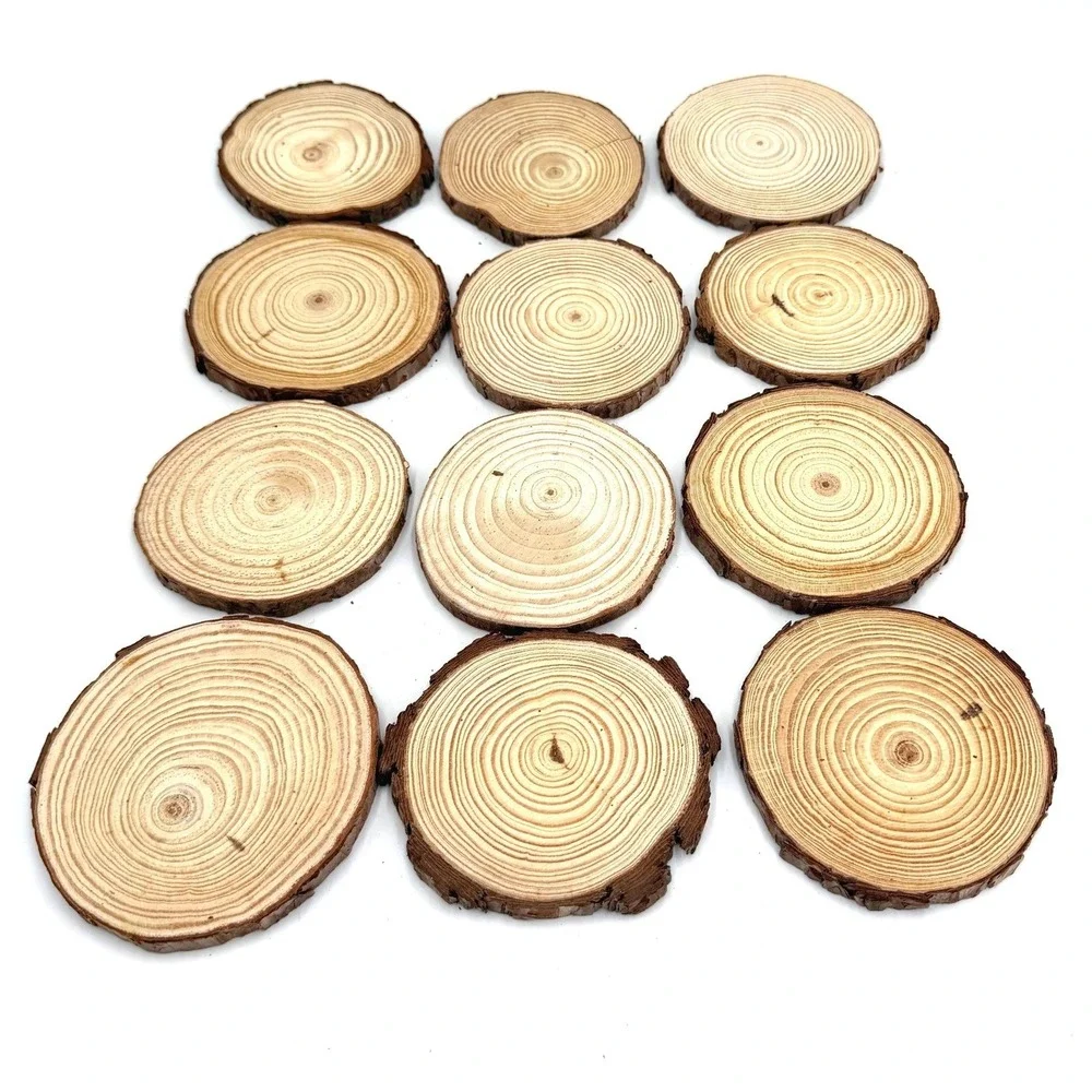 12pc Natural Pine Wood Slices‎ 2.5-3.5 inch Unfinished Round Bark Tree Discs DIY